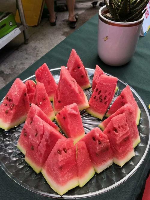 秦皇岛王主任吃瓜,秦皇岛王主任的“吃瓜”奇遇记