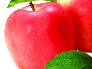 孕妇吃苹果瓜好吗,孕妇适量食用苹果瓜有益健康