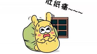 吃瓜群众的感人故事视频,吃瓜群众变身感人故事主角